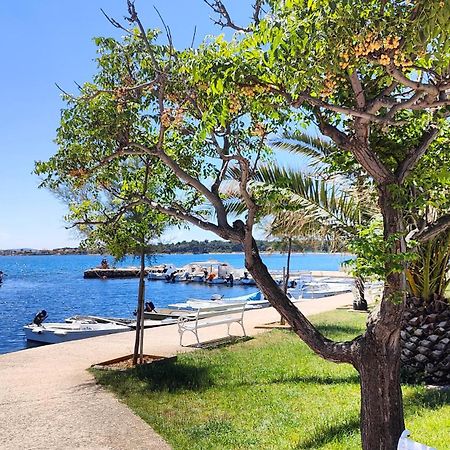 Studio Apartman I Mali Apartman Vir Εξωτερικό φωτογραφία