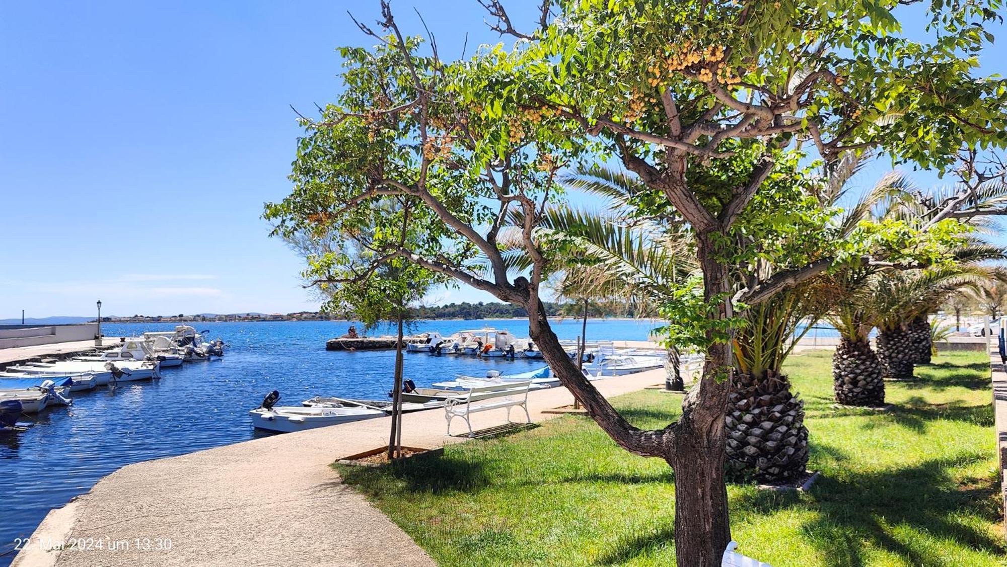 Studio Apartman I Mali Apartman Vir Εξωτερικό φωτογραφία