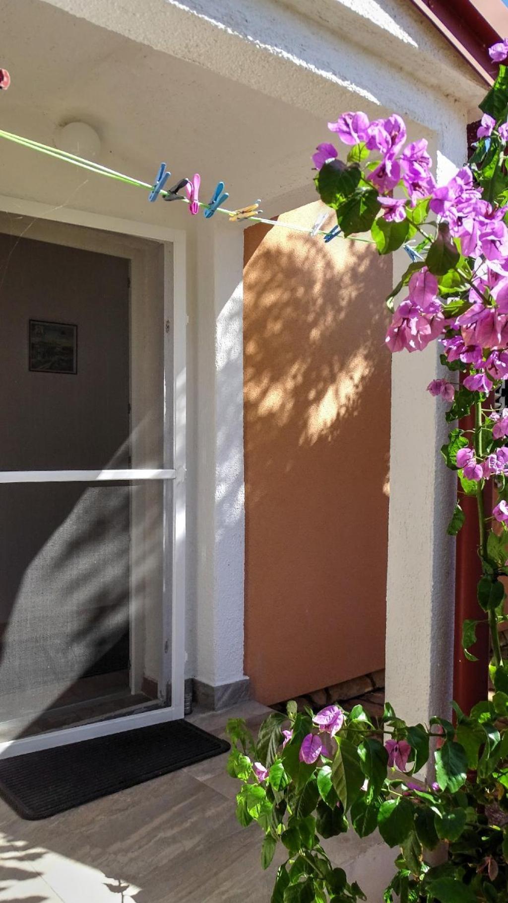 Studio Apartman I Mali Apartman Vir Εξωτερικό φωτογραφία
